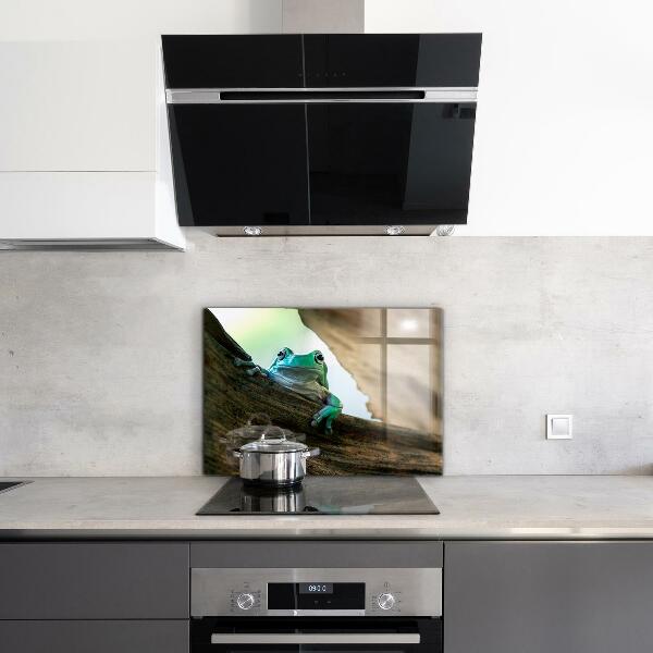 Kitchen splashback Curious frog on a leaf