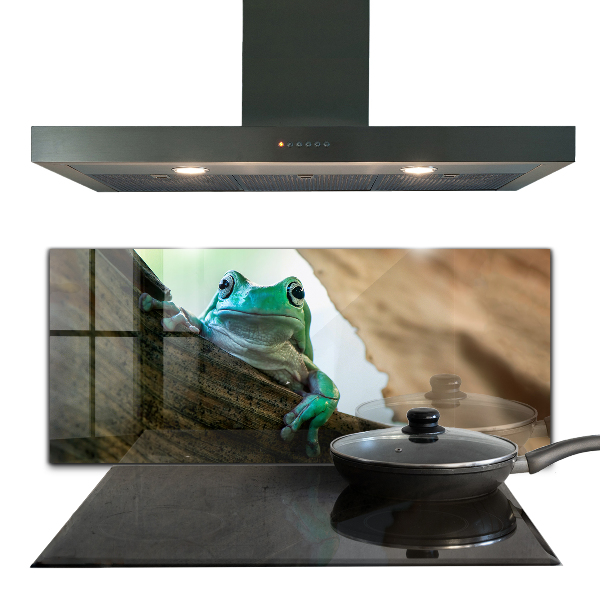 Kitchen splashback Curious frog on a leaf