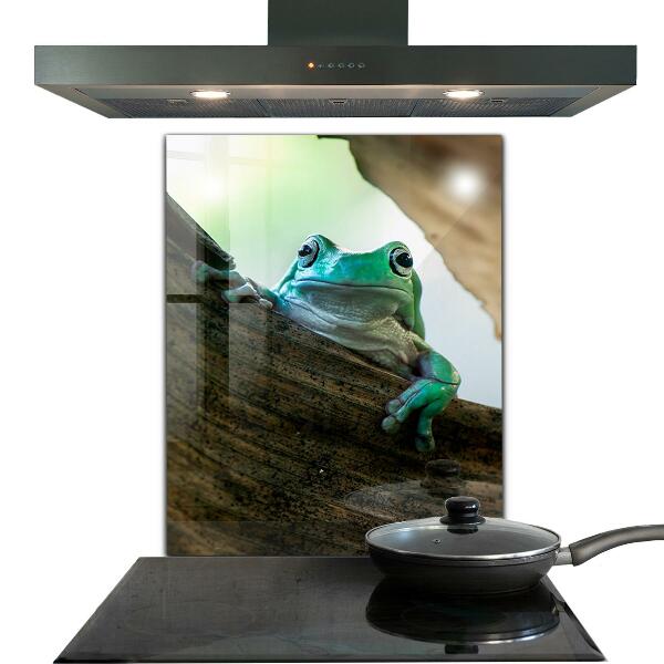 Kitchen splashback Curious frog on a leaf