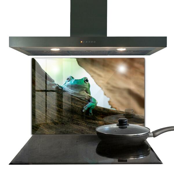 Kitchen splashback Curious frog on a leaf