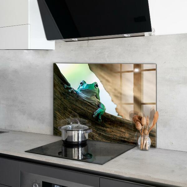 Kitchen splashback Curious frog on a leaf