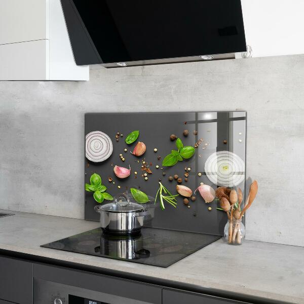 Kitchen splashback Spices italian cuisine