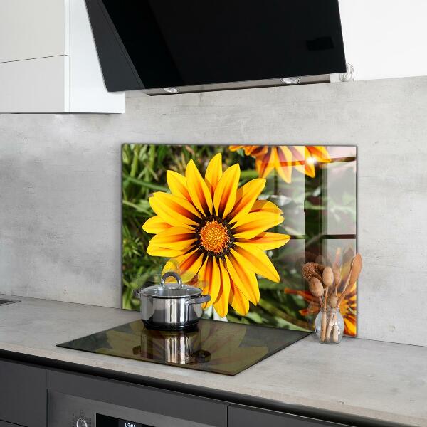 Kitchen splashback Yellow flower in the meadow