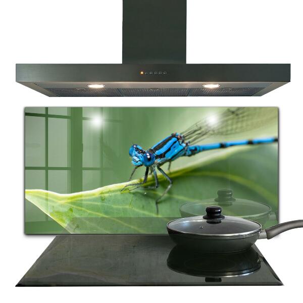 Kitchen splashback Dragonfly on leaf