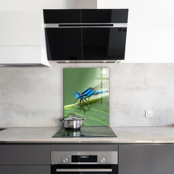 Kitchen splashback Dragonfly on leaf