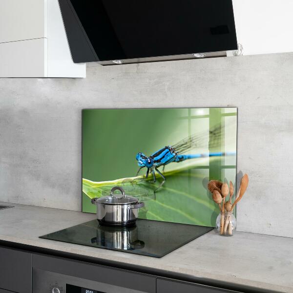 Kitchen splashback Dragonfly on leaf