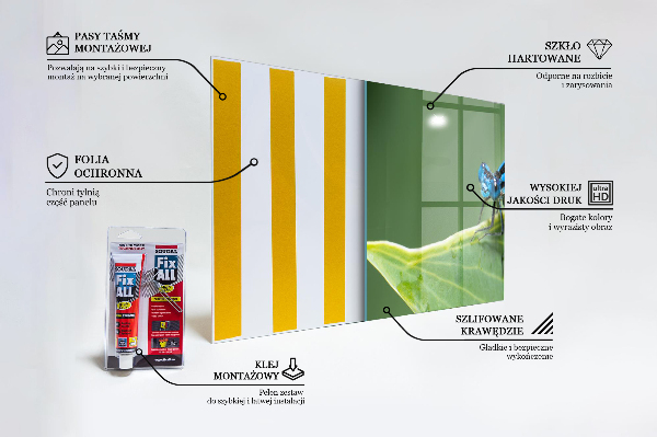 Kitchen splashback Dragonfly on leaf