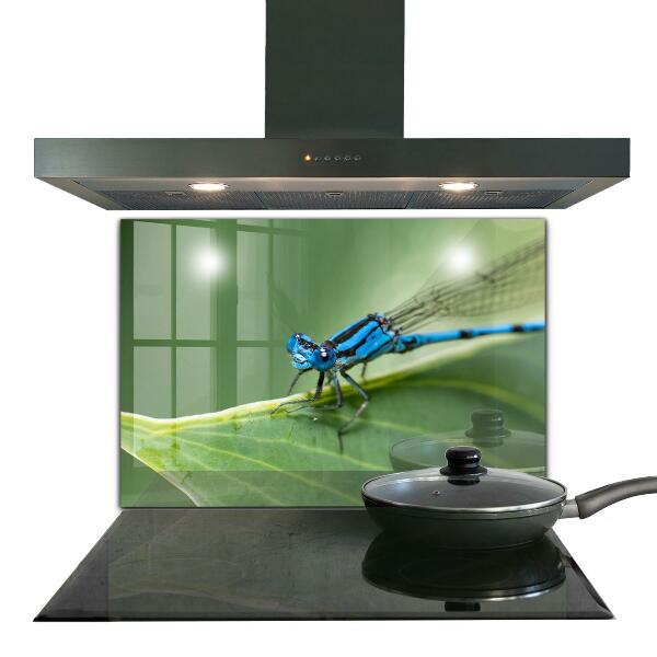 Kitchen splashback Dragonfly on leaf