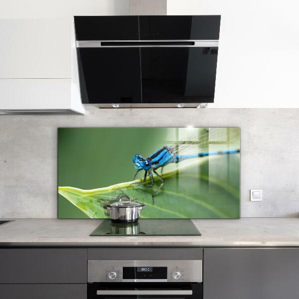 Kitchen splashback Dragonfly on leaf
