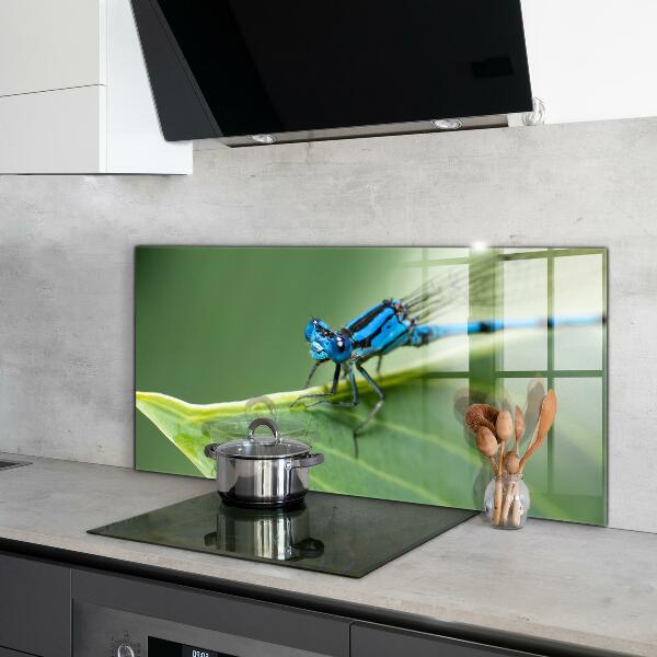 Kitchen splashback Dragonfly on leaf