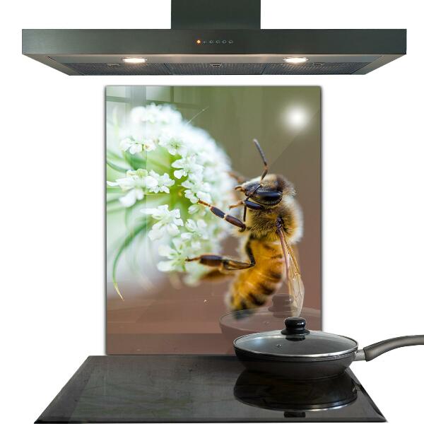 Kitchen splashback Bee collecting pollen