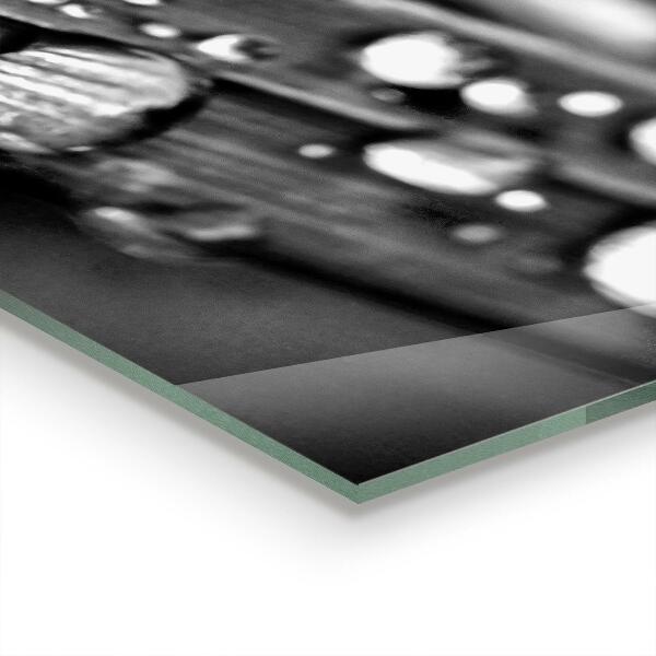 Kitchen splashback Leaf rosa black and white