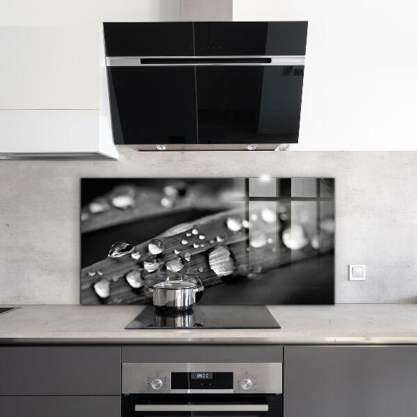 Kitchen splashback Leaf rosa black and white