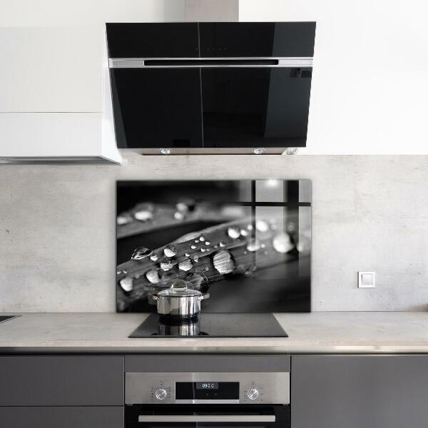 Kitchen splashback Leaf rosa black and white