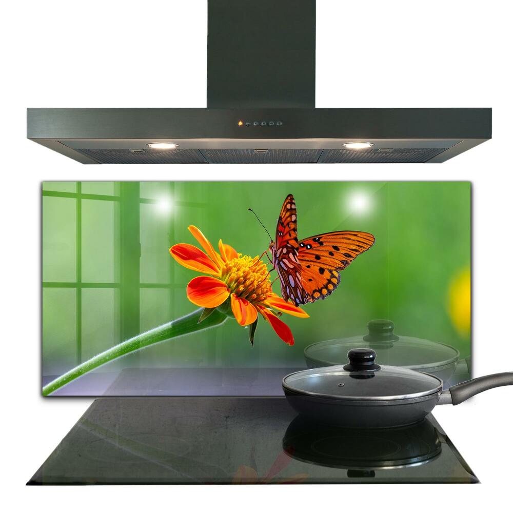 Kitchen splashback Butterfly on a summer flower