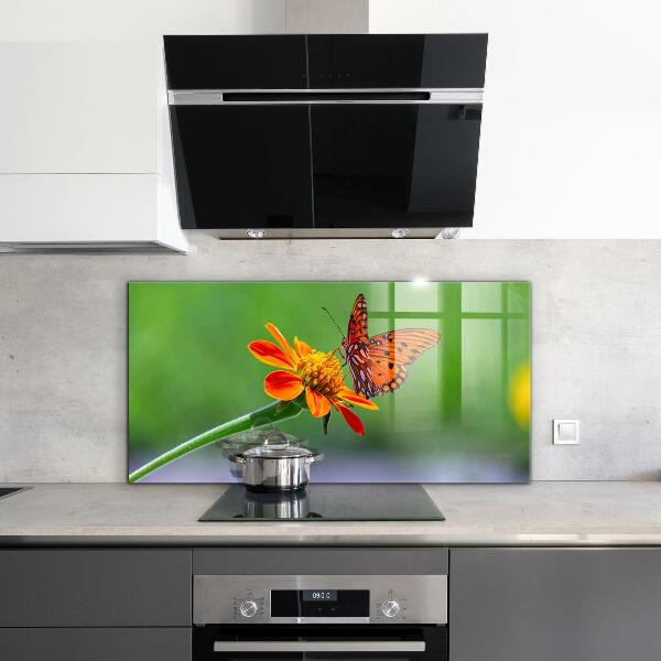 Kitchen splashback Butterfly on a summer flower