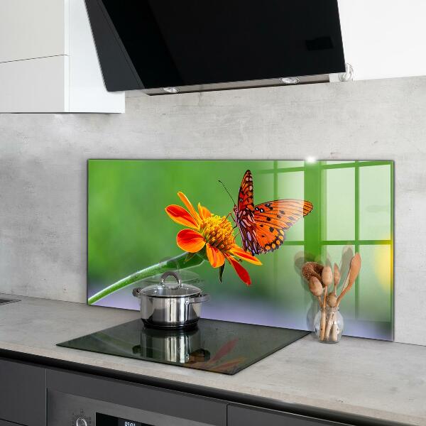 Kitchen splashback Butterfly on a summer flower