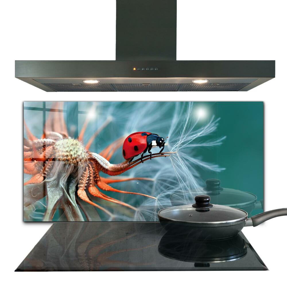 Kitchen splashback Ladybug red beetle
