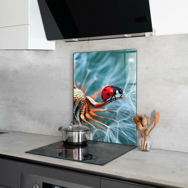 Kitchen splashback Ladybug red beetle