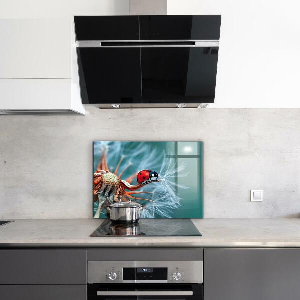 Kitchen splashback Ladybug red beetle