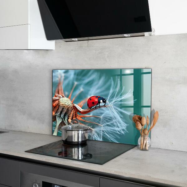 Kitchen splashback Ladybug red beetle