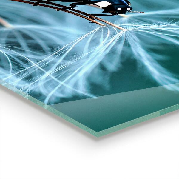 Kitchen splashback Ladybug red beetle