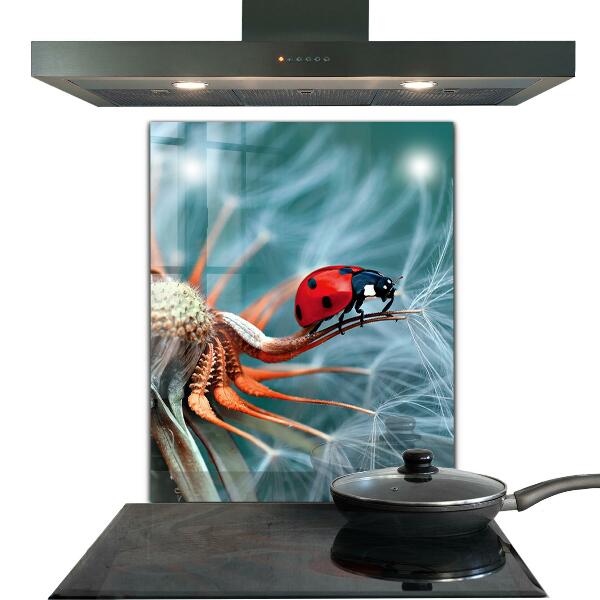 Kitchen splashback Ladybug red beetle