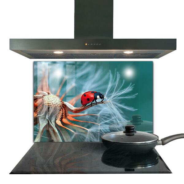 Kitchen splashback Ladybug red beetle