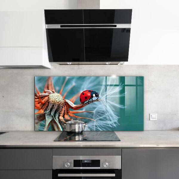 Kitchen splashback Ladybug red beetle