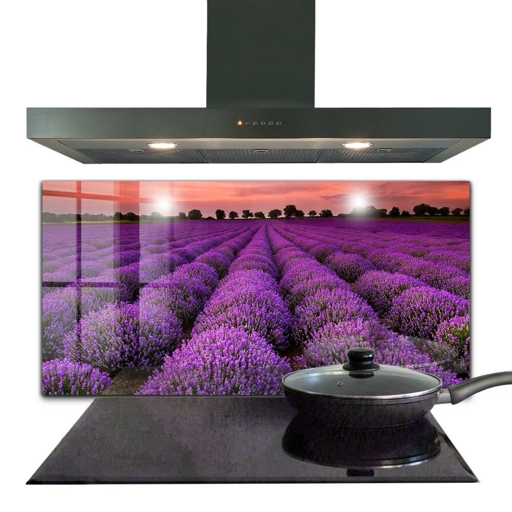 Kitchen splashback Lavender field landscape