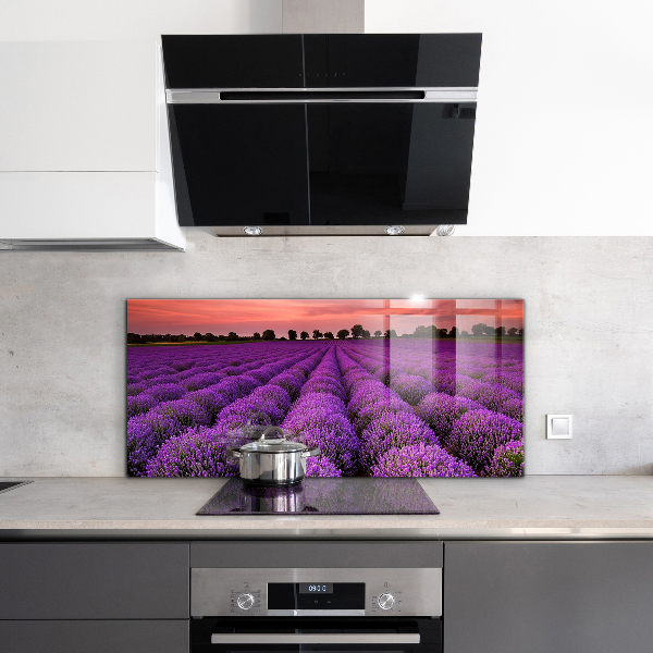 Kitchen splashback Lavender field landscape