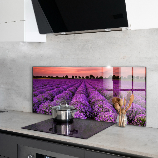 Kitchen splashback Lavender field landscape
