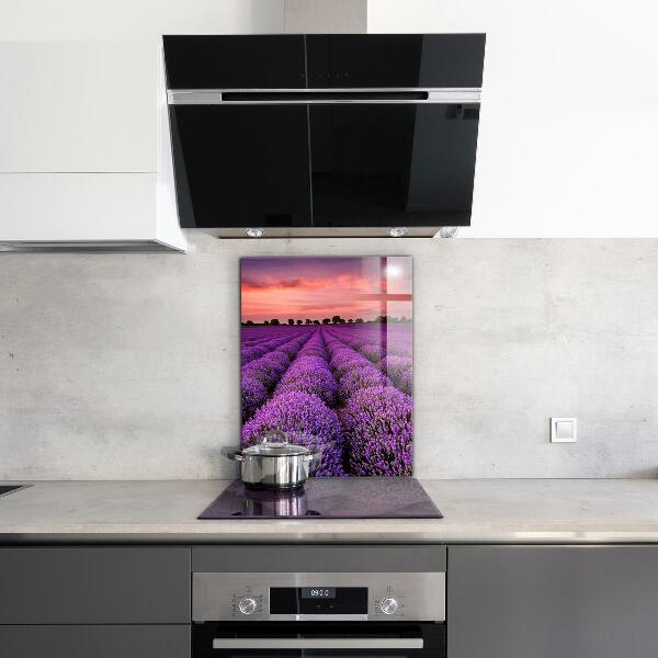 Kitchen splashback Lavender field landscape