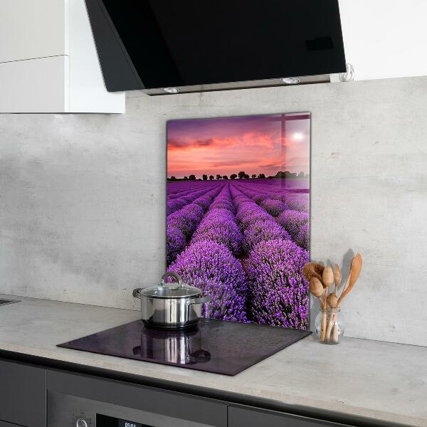 Kitchen splashback Lavender field landscape