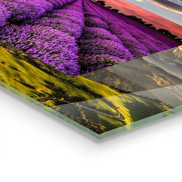 Kitchen splashback Lavender field landscape