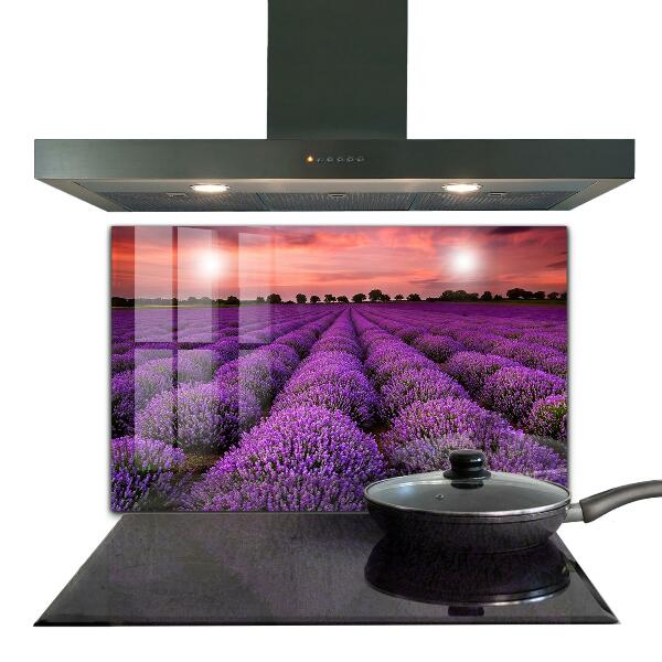 Kitchen splashback Lavender field landscape