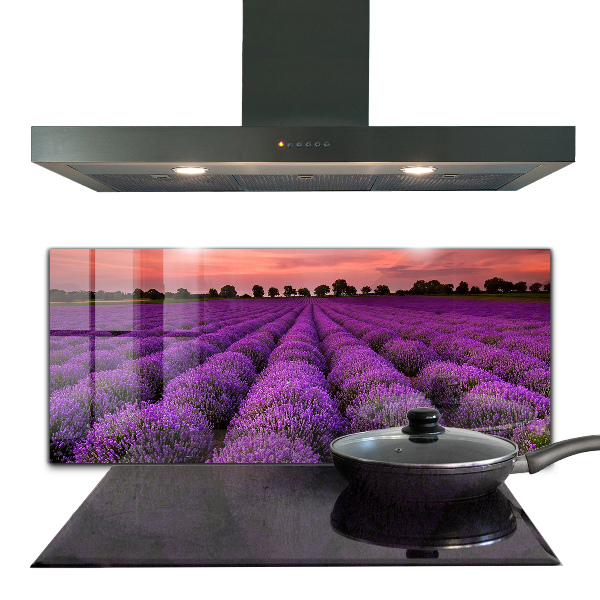 Kitchen splashback Lavender field landscape