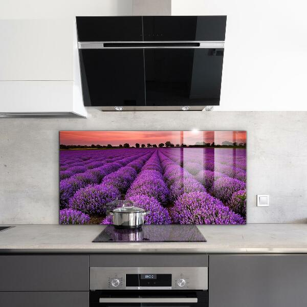 Kitchen splashback Lavender field landscape