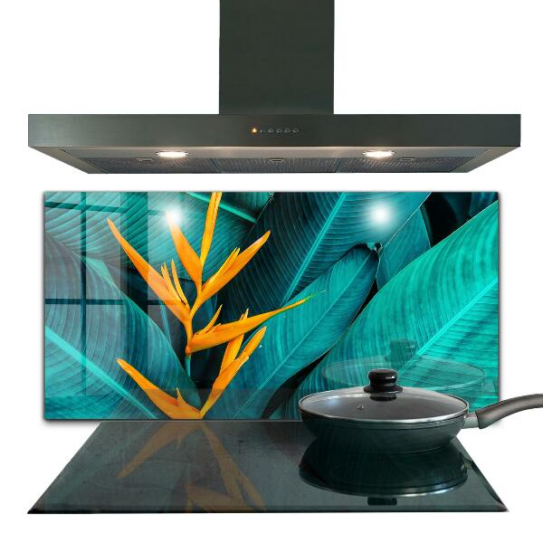 Kitchen splashback Tropical exotic flower