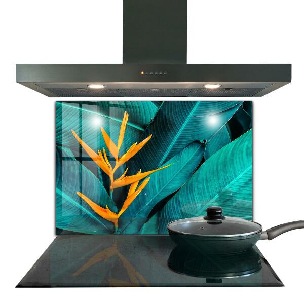 Kitchen splashback Tropical exotic flower