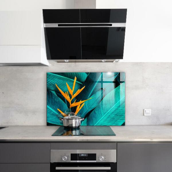 Kitchen splashback Tropical exotic flower