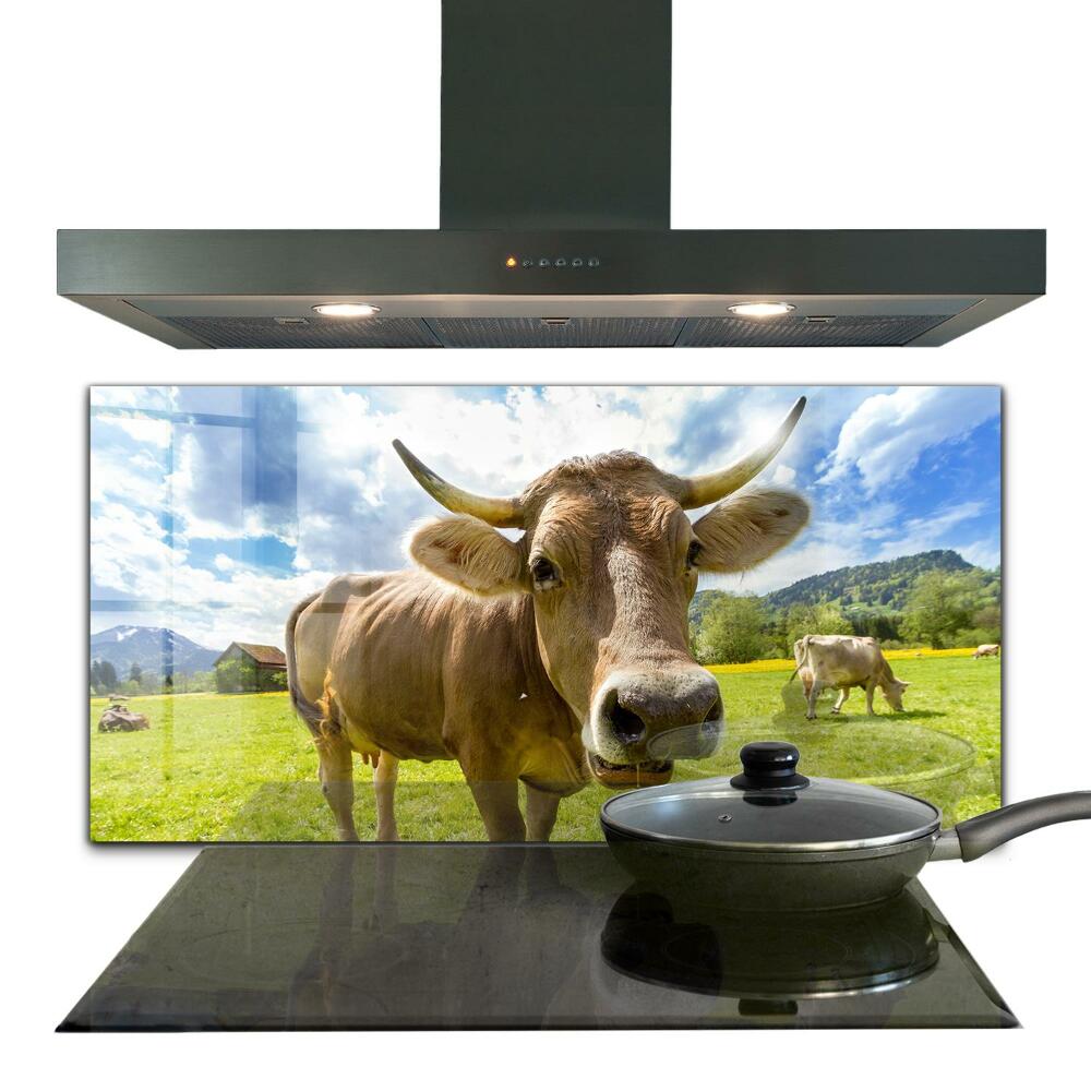 Kitchen splashback Rural climate krowa pole
