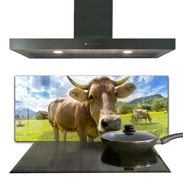 Kitchen splashback Rural climate krowa pole