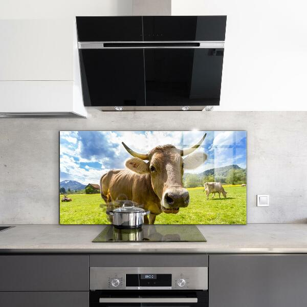 Kitchen splashback Rural climate krowa pole