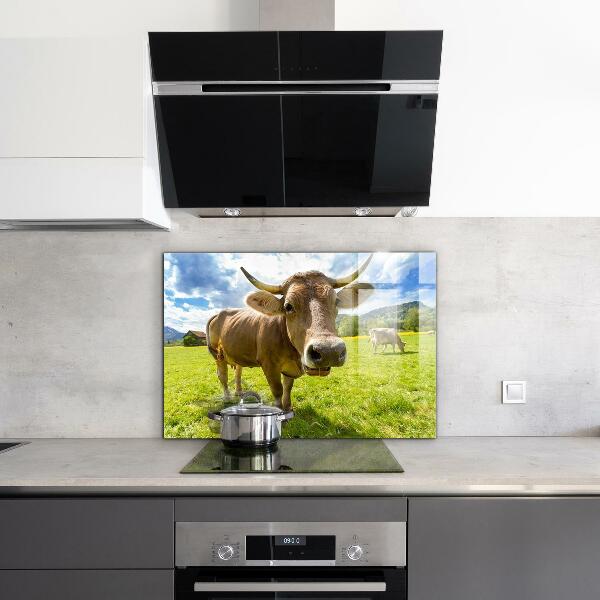 Kitchen splashback Rural climate krowa pole