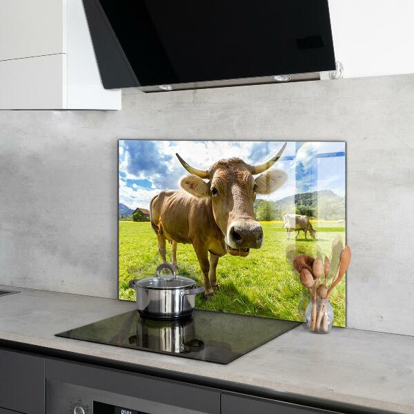 Kitchen splashback Rural climate krowa pole
