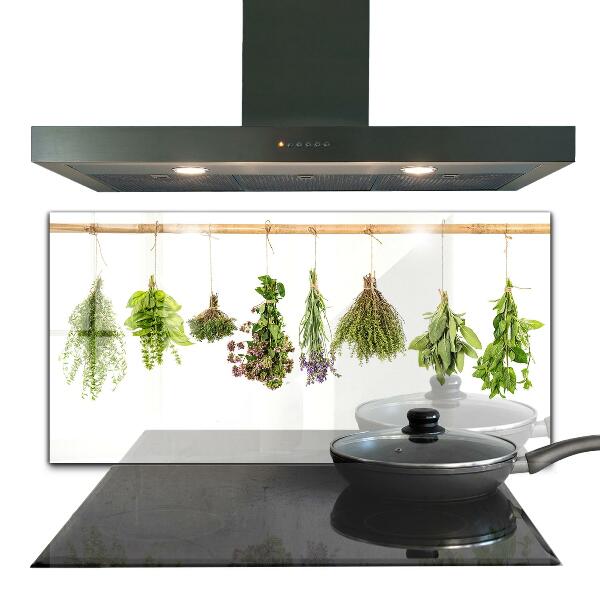 Kitchen splashback Dried herbs power of nature