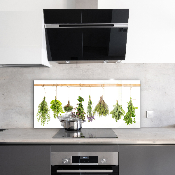 Kitchen splashback Dried herbs power of nature