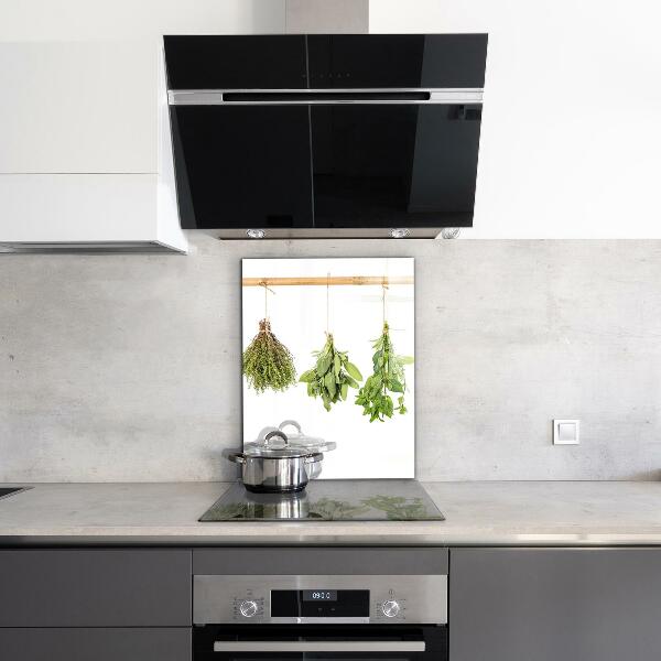 Kitchen splashback Dried herbs power of nature