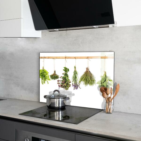 Kitchen splashback Dried herbs power of nature